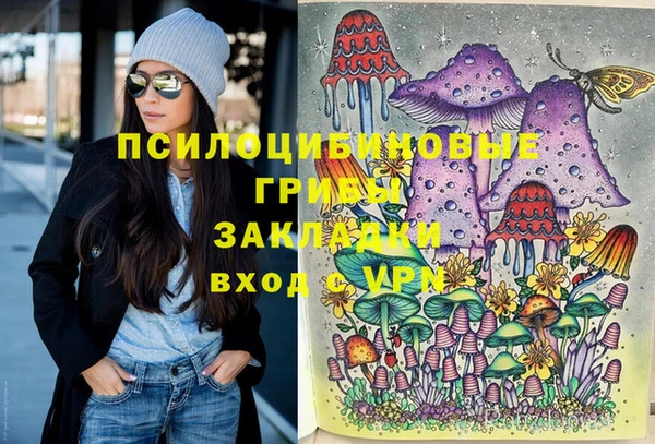 хмурый Наволоки