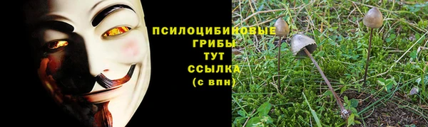 амфетамин Надым