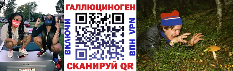 Псилоцибиновые грибы Psilocybe  Купить где  Фурманов 
